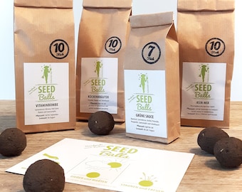 Kräuterpaket Seedbombs – 4 große Tüten Seedballs: Grüne Sauce, Küchenkräuter, Vitaminbombe und Asia-Mix | Sparpaket als Geschenkidee