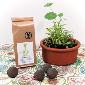 Seedballs "Essbare Blüten" , 3er oder 10er Packung Samenbomben mit Blumensamen, deren Blüten essbar sind