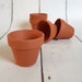 5 x Tontöpfe für die Anzucht von Kräutern, Gemüse & Blumen Etsy.de
