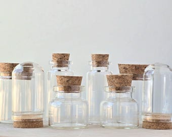 Mystery Vial Kit | curiosity cabinet | empty bottles | oddities and crystals | curiosity trinkets | taxidermy oddities |  taxidermy insects