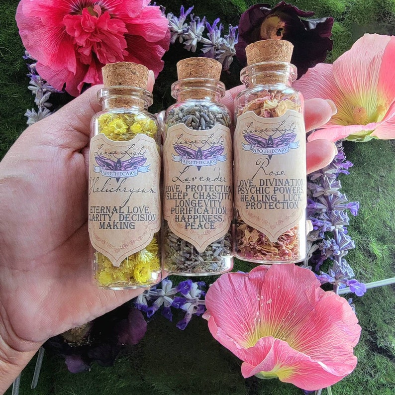 1.5 oz Herbal Bottles Dried herb vial Witchcraft herbs Witches Apothecary herbal tea Spell supplies loose incense Herb jars image 3