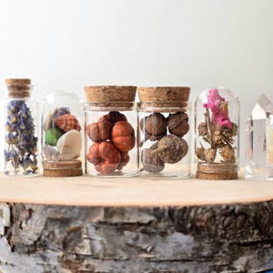 Botanische Geister Curio Kit | Kuriositätenschrank Einzelteile | Kuriositäten und Kristalle | Kuriosität schmuckstücke