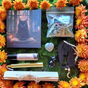 Puede incluir: Un gato negro sentado en un libro con una vela en el fondo. La imagen está en una tarjeta con un borde blanco. Hay una pequeña botella de aceite esencial, un rollo de pergamino, una piedra en forma de corazón, una pequeña figura de gato negro, una bolsa de hierbas secas y un letrero de madera negro con una luna creciente y una silueta de gato.