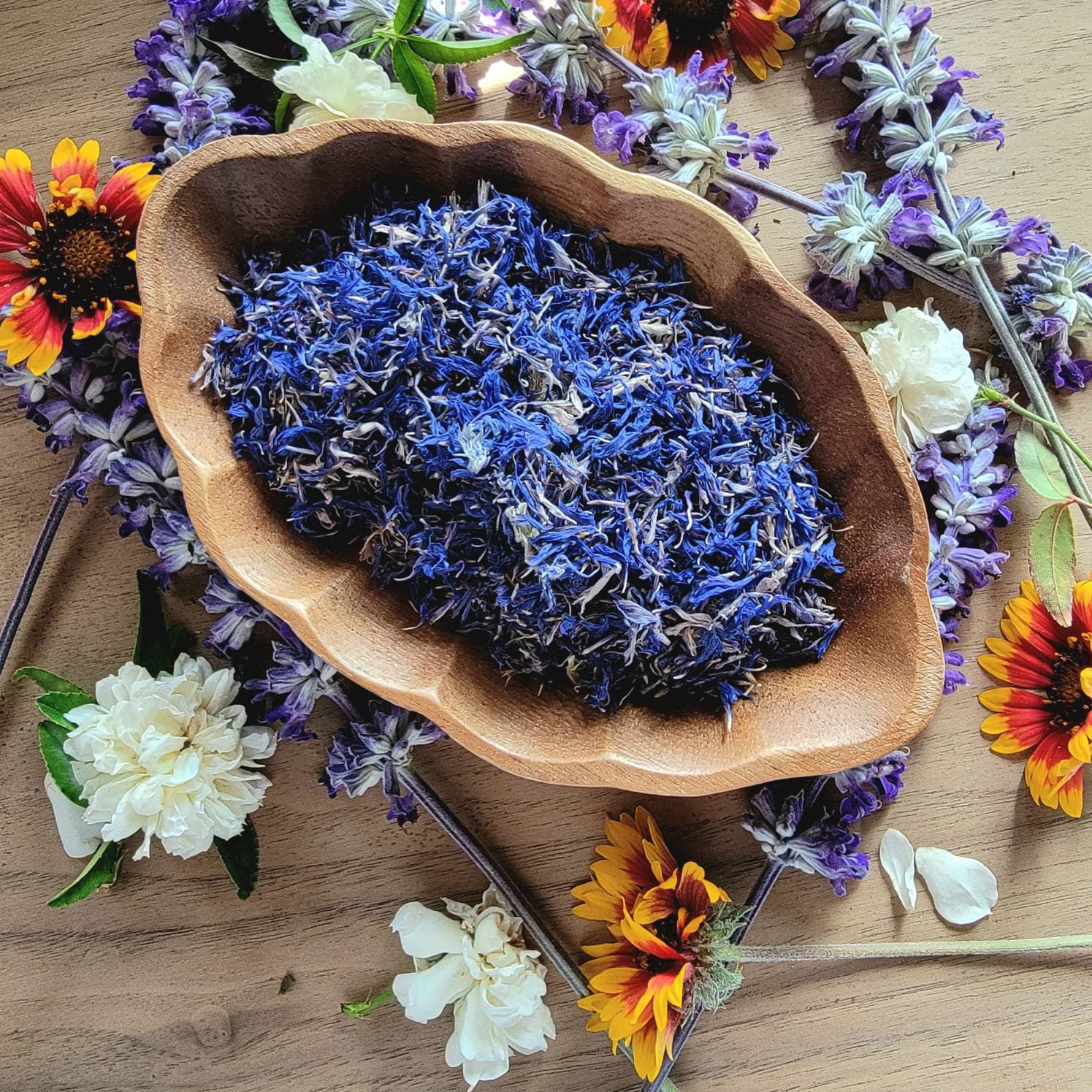 indigo dried flower