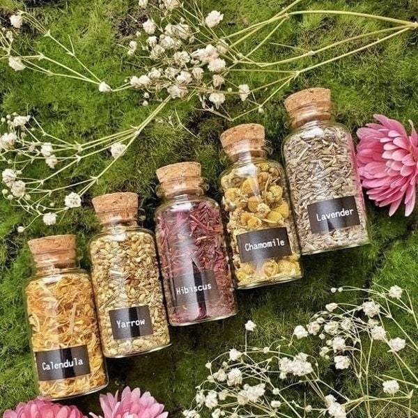 1.5 oz Herbal Bottles | Dried herb vial | Witchcraft herbs | Witches Apothecary | herbal tea | Spell supplies | loose incense  | H
