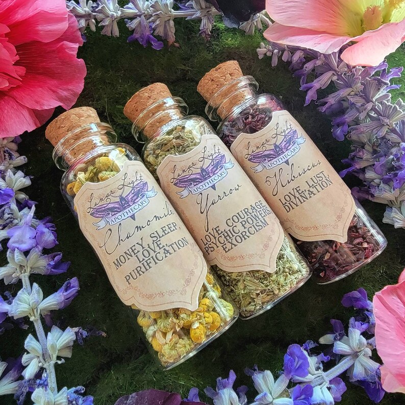 1.5 oz Herbal Bottles Dried herb vial Witchcraft herbs Witches Apothecary herbal tea Spell supplies loose incense Herb jars image 7