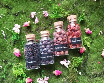 1.5 oz Berries and Fruit | Herbal Bottles | Witchcraft herbs | Rose Hip | Juniper | Hawthorn |Dried herb vial | herbal tea | Spell supply