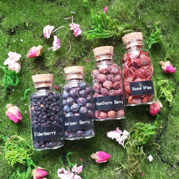 1.5 oz Berries and Fruit | Herbal Bottles | Witchcraft herbs | Rose Hip | Juniper | Hawthorn |Dried herb vial | herbal tea | Spell supply