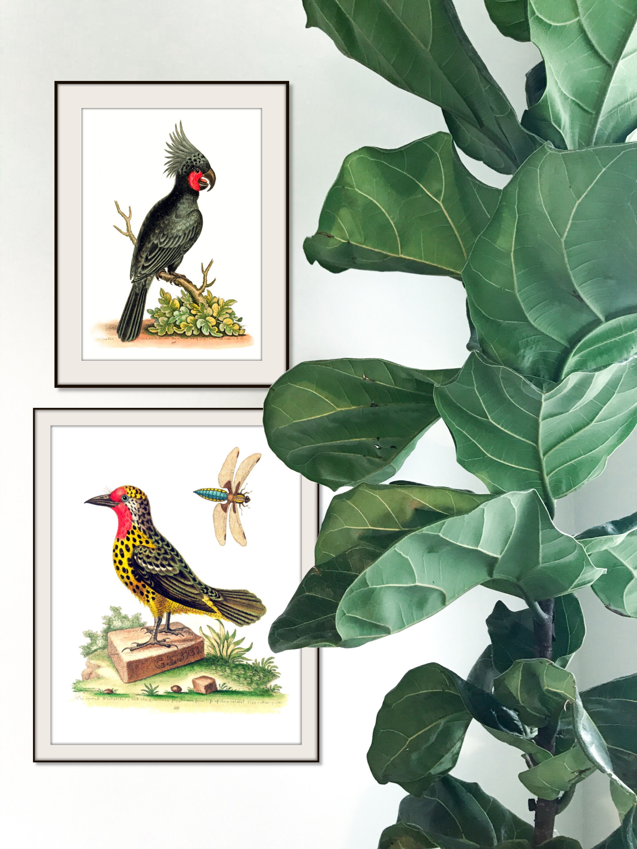 Neon Pink Wall Art Pink and Yellow Wall Art Set Wall Art Etsy