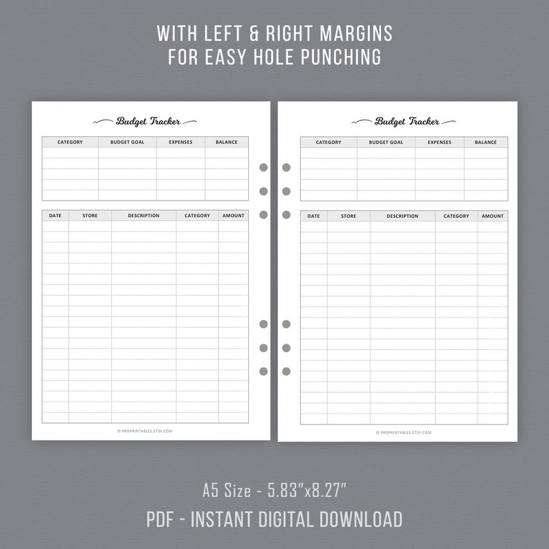 Budget Tracker Planner Sheet Printable, Finance Goal Tracker, Expense Tracker, Financial Organizer, A5 Filofax Inserts, Instant Download image 3