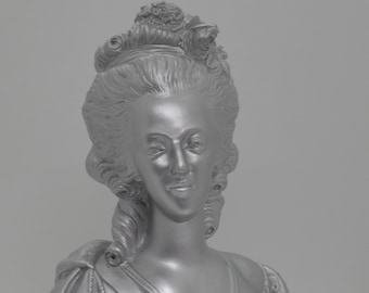 Bust of Marie Antoinette. Marie Antoinette.Marie Antoinette from Austria.