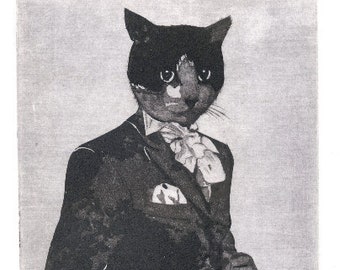 Original engraving "Dandy cat"