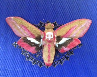 Decorative Butterfly "Skull Sphinx" Fridge Magnet, kitchen decor made of resin.