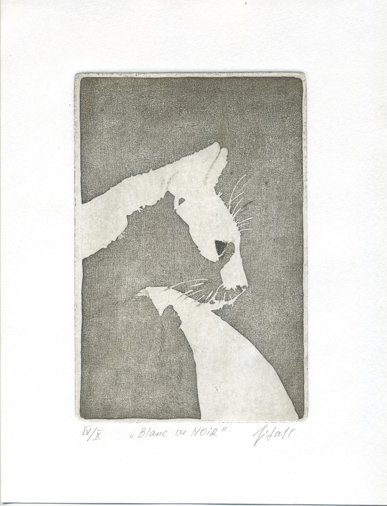 Original cat et als White or Black, hand-printed, numbered and signed. image 1