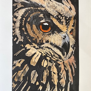 May include: A close-up of a woodblock print of an owl's face. The owl is depicted in shades of brown, beige, and black against a dark background. The owl's eye is a bright orange. The print is numbered "7/50" and signed "Hall".