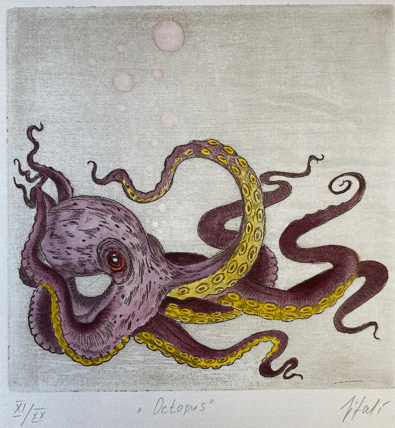 Grabado original Octopus. Octópodos. Pulpo. Pulpo. Kraken. aguafuerte. Grabado imagen 4