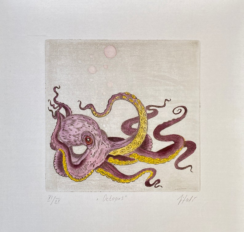 Original engraving Octopus. Octopods. Octopus. Octopus. Kraken. etching. printmaking image 2