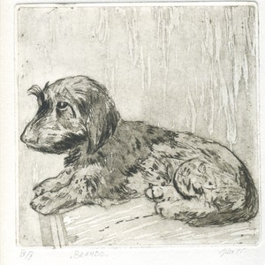 Originele gravure &quot;Brando\Hond\Ruwharige teckel\hond print\Hond graveren\teckel\hond ets\Etsen\art print\printmaking