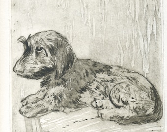 Original engraving "Brando-Dog-Wirehaired dachshund-dog print-dog-engraving-dachshund-dog etching-Gravure with etch-art print-printmaking