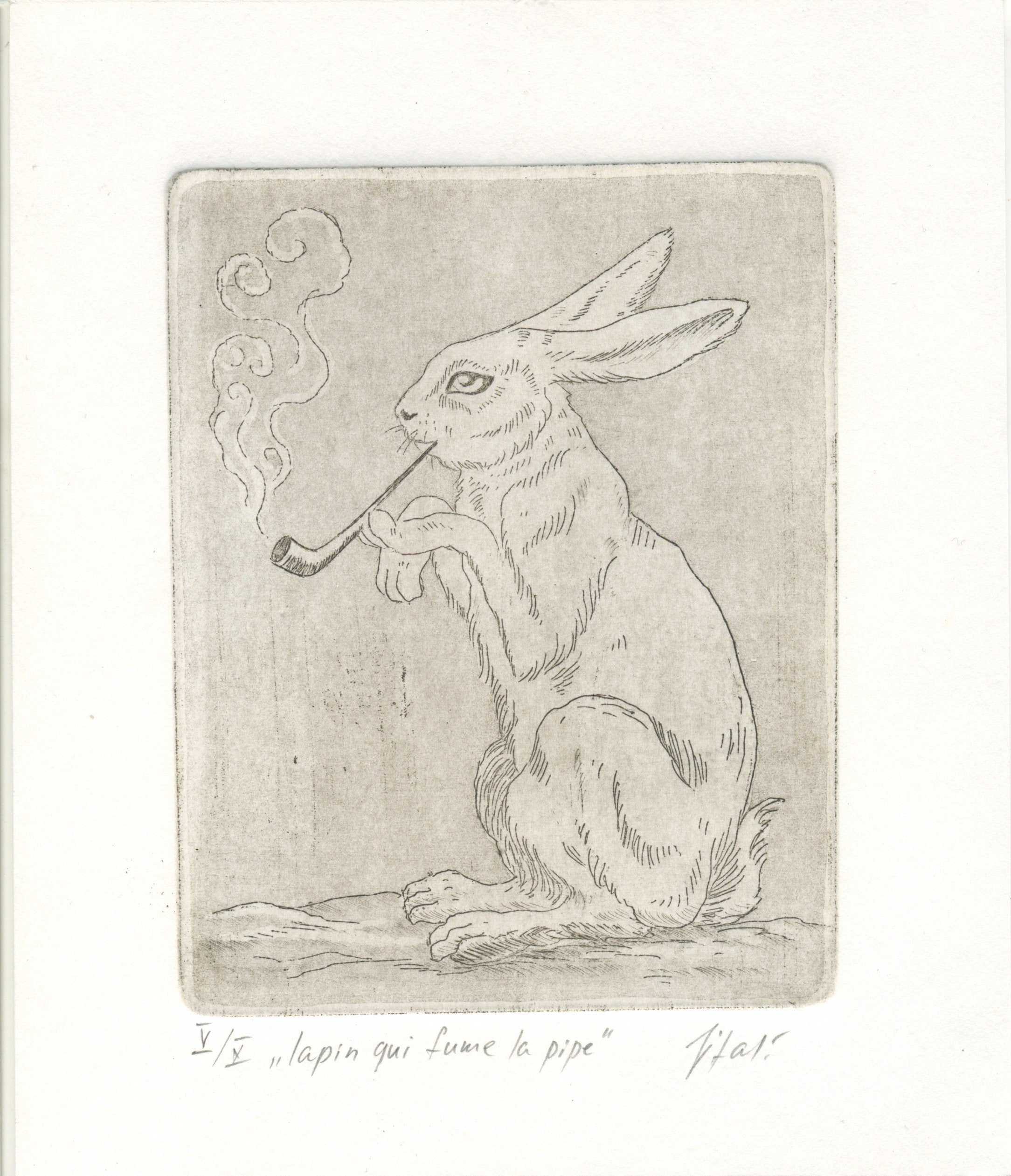 rabbit tobacco effects Engraving 