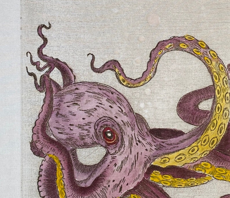 Grabado original Octopus. Octópodos. Pulpo. Pulpo. Kraken. aguafuerte. Grabado imagen 3