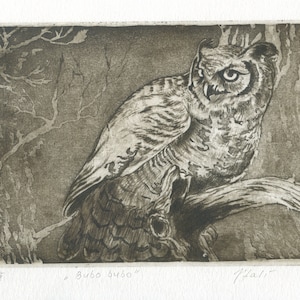 Original engraving &quot;Grand Duke.&quot; Eagle-owl.