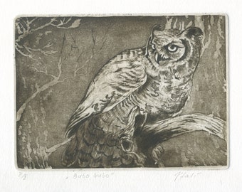 Original engraving "Grand Duke." Eagle-owl.