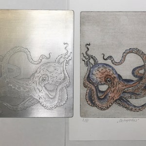 Original engraving Octopus. Octopods. Octopus. Octopus. Kraken. etching. printmaking image 5