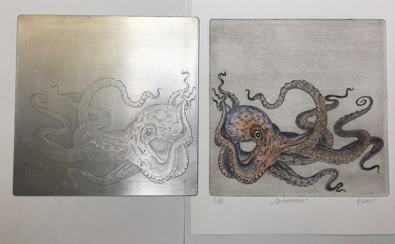 Original engraving Octopus. Octopods. Octopus. Octopus. Kraken. etching. printmaking image 5