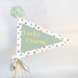 Lucky Charm pennant flag, Printable St Patricks Day flag, St Patricks Day paper pennant flag