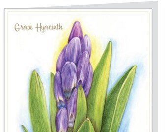 Grape Hyacinth Note Card