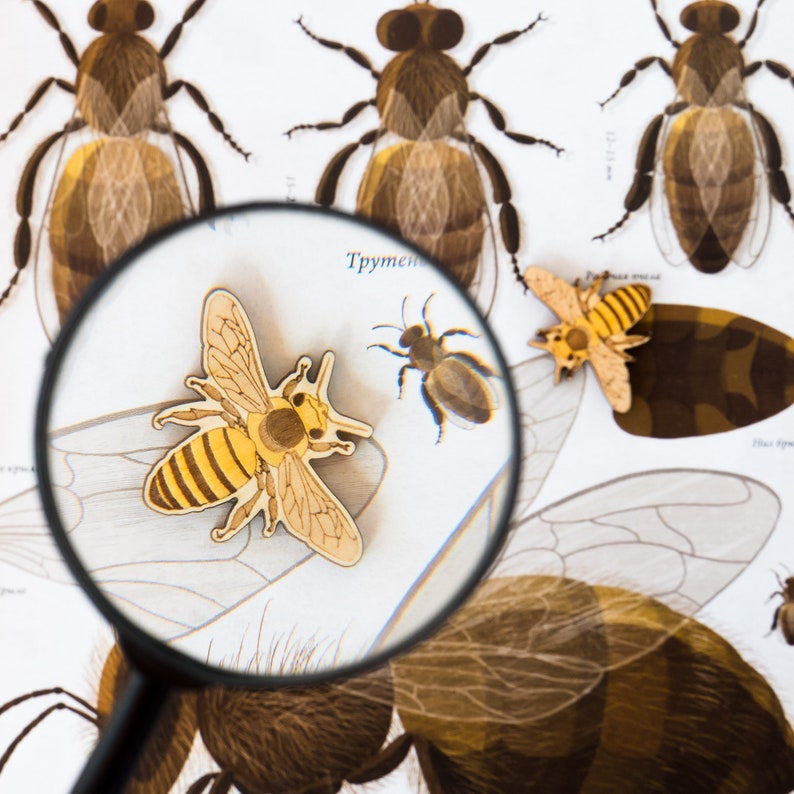 Wooden Puzzle Beehive Montessori Wooden Bees Toys Education Etsy