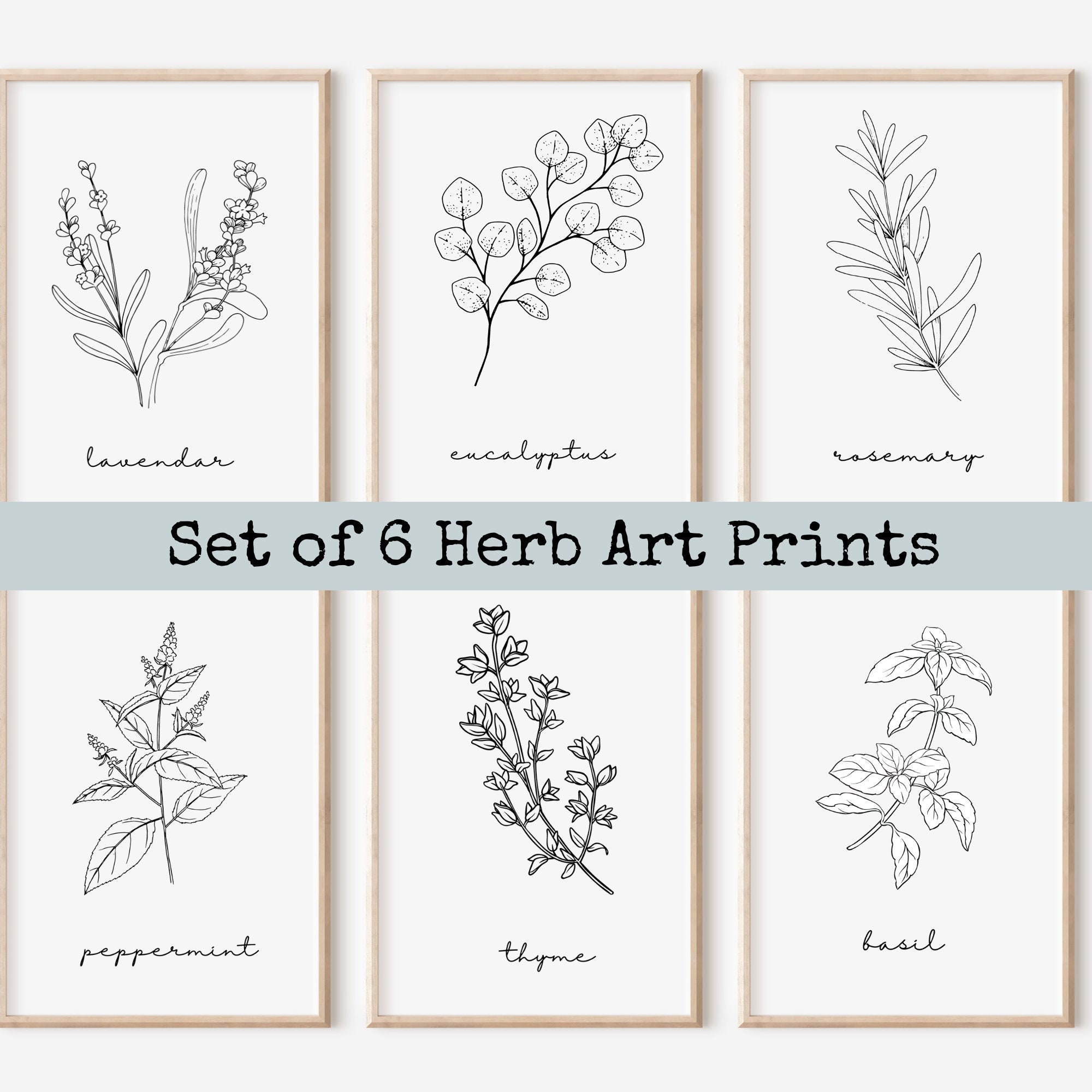 Set of 6 Botanical Art Prints Botanical Wall Art Crazy - Etsy