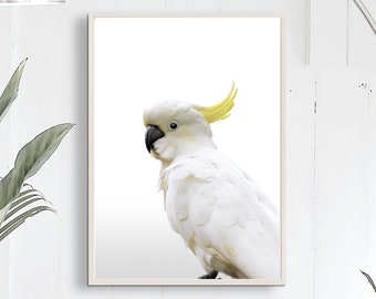 Australian, Cockatoo, Wall Art, Digital Download, Printable, Bird Poster, Australian art