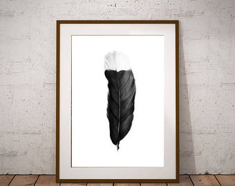 Feather Huia Bird Minimalist Brush Strokes Printable Decor Digital Print Maori Wall Art Print Printable Poster Digital Download