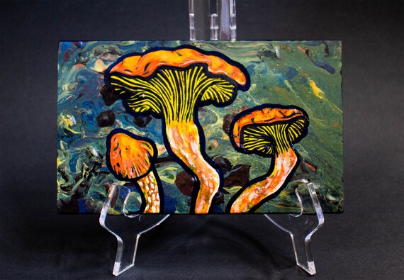 Jack O Lantern Mushroom Omphalotus Olearius Glow In Etsy Jack O Lantern Mushroom Omphalotus Olearius Glow In Etsy