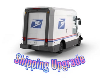 Fast Shipping- Reserved for Upgrade Shipping for Mask