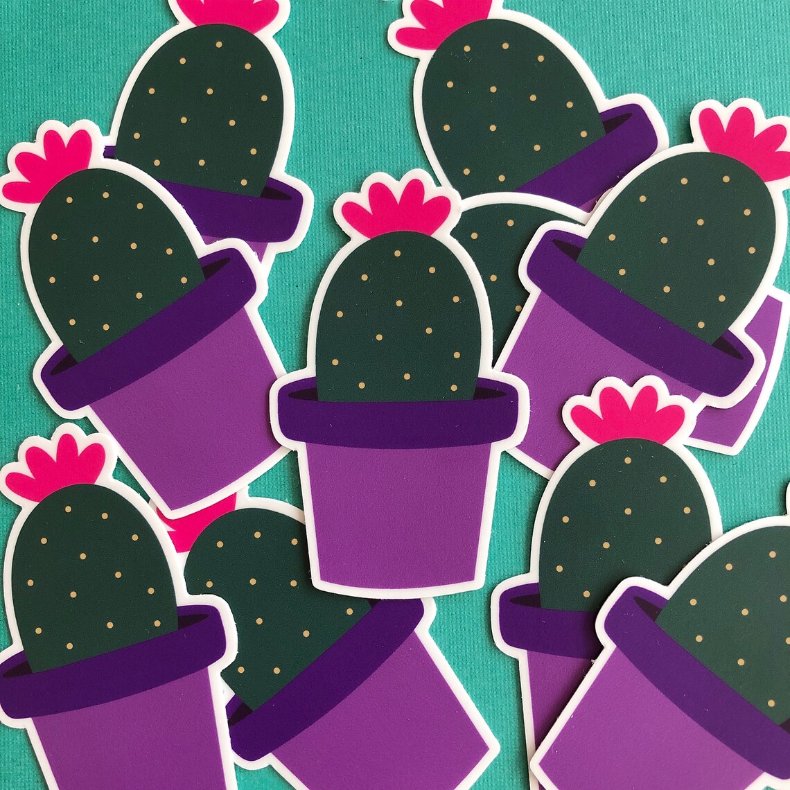 Cactus Sticker Vinyl Sticker Sticker Cactus Gift Etsy