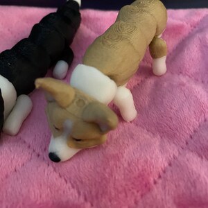 May include: Two 3D printed dog figurines. One is black and white and the other is brown and white. The brown and white dog is lying down with its head resting on the pink surface.