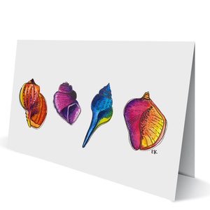 May include: A card featuring four colourful seashells drawn on it. The shells are in shades of orange, purple, blue, and red. The card is white with a slight grey tint.
