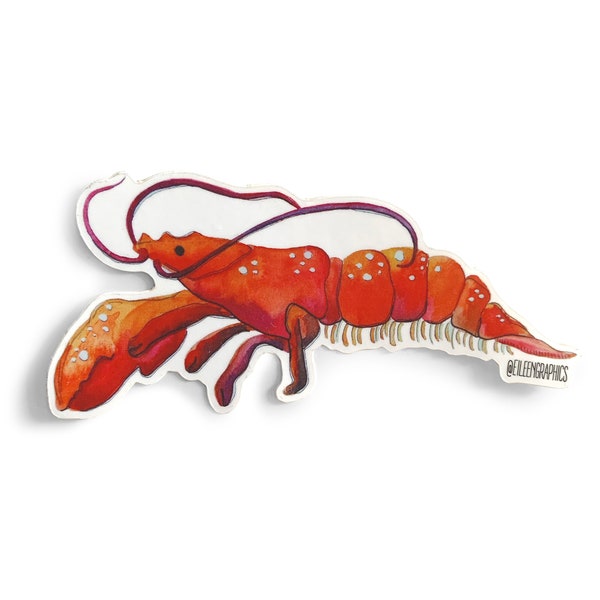 Eileen Graphics Lobster Sticker | Designed in Newport, RI | Small Gift | Laptop | Water Bottle | Car | Suitcase | Stationery | Nautical