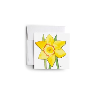Eileen Graphics Narcis Kleine Behuizing Wenskaart | Gemaakt in Newport, RI | Aquarellen | 3x3 | Cadeau Topper | Bloemen | Douche | Schattig
