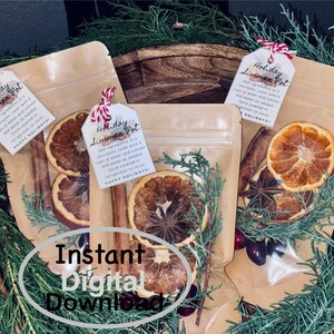 Op de afbeelding: Drie doorzichtige zakjes gevuld met gedroogde sinaasappelschijfjes, kaneelstokjes en steranijs, met takjes groen. Elk zakje heeft een label met de tekst "Holiday Simmer Pot". De tekst "Instant Digital Download" is ook zichtbaar.