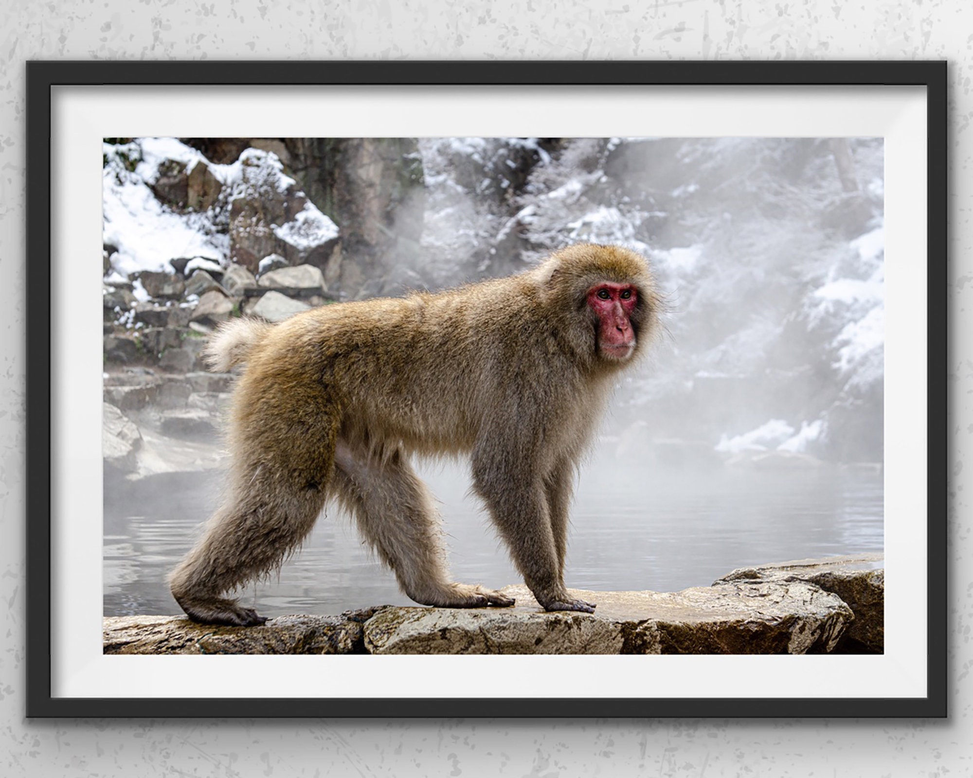 NOVITA ノビタ　NATUNATURAL MOUNTAIN MONKEYS NOVITA【YELLOW GOLD】 NATURAL MOUNTAIN MONKEYS | DIRECTION