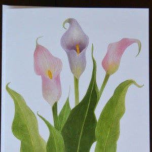 Greeting Card, Botanical, Calla Lily, Flower, Notecard, Gift Card image 2