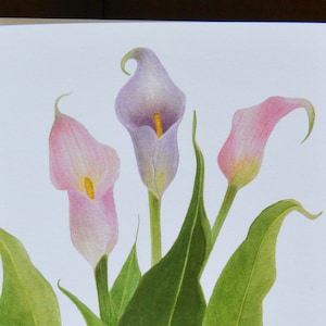 Greeting Card, Botanical, Calla Lily, Flower, Notecard, Gift Card image 1
