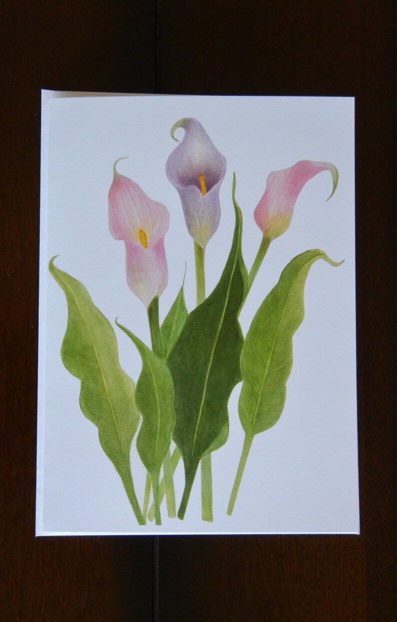 Greeting Card, Botanical, Calla Lily, Flower, Notecard, Gift Card image 2
