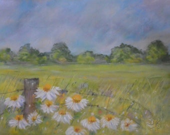 Field of Daises, Original Soft Pastels, Meadow, Landscape