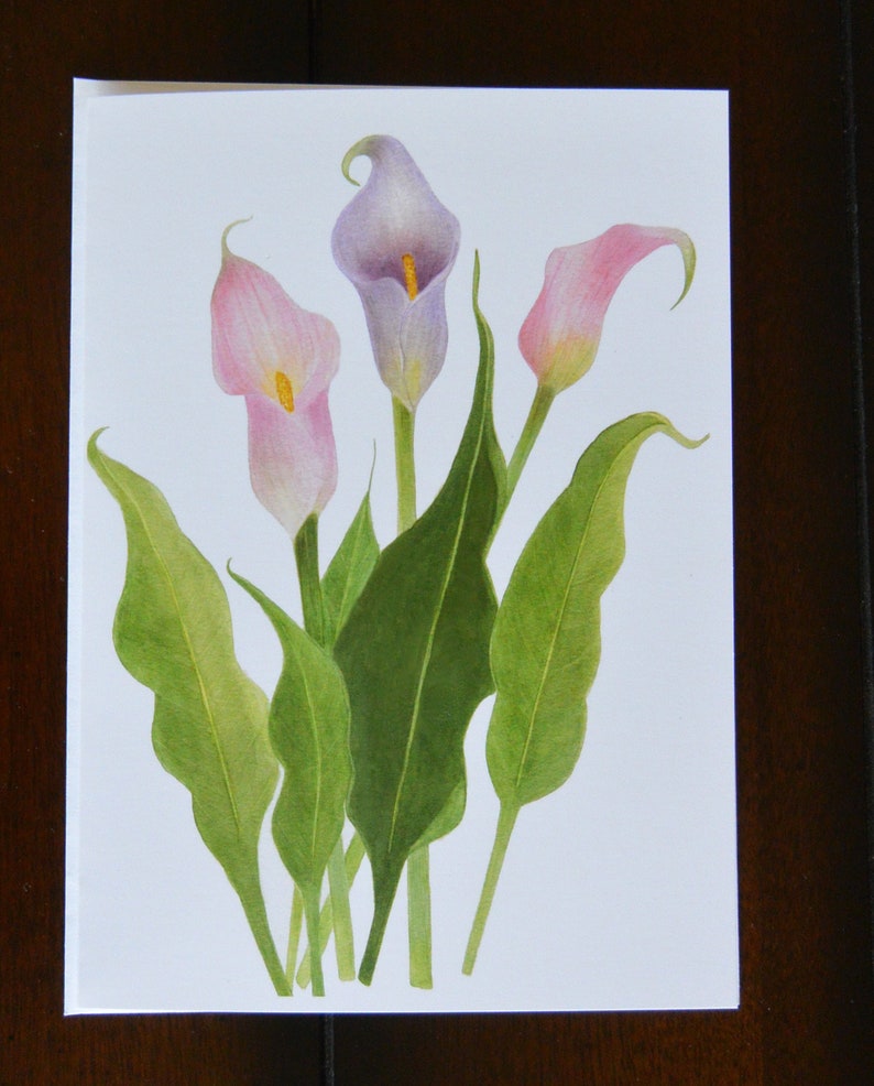 Greeting Card, Botanical, Calla Lily, Flower, Notecard, Gift Card image 1