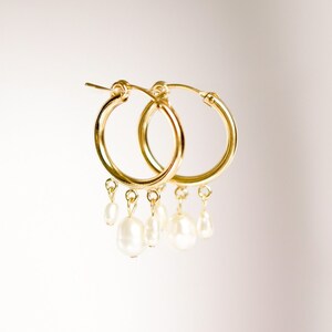 Gold hoop earrings with freshwater pearls, 14k gold filled